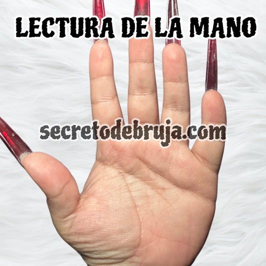 TE LEO LA MANO (QUIROMANCIA)